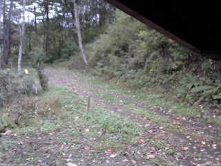 長野県菅平高原 ゆたか山荘 東側(坂下) 2025/10/14 15:00