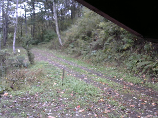 長野県菅平高原 ゆたか山荘 東側(坂下) 2025/10/14 15:45