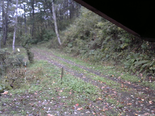 長野県菅平高原 ゆたか山荘 東側(坂下) 2025/10/14 16:15