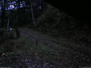 長野県菅平高原 ゆたか山荘 東側(坂下) 2025/10/14 17:15