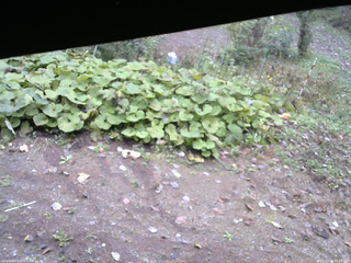 長野県菅平高原 ゆたか山荘 駐車場 2025/10/14 09:00