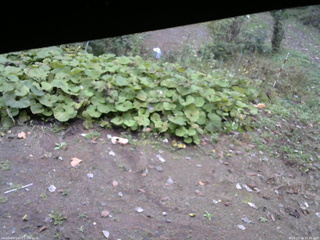 長野県菅平高原 ゆたか山荘 駐車場 2025/10/14 11:45