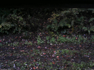 長野県菅平高原 ゆたか山荘 南側 2025/10/15 05:45