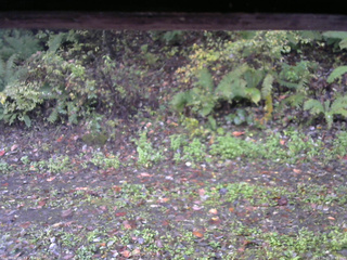長野県菅平高原 ゆたか山荘 南側 2025/10/15 06:45