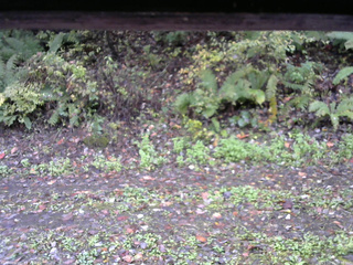 長野県菅平高原 ゆたか山荘 南側 2025/10/15 08:30