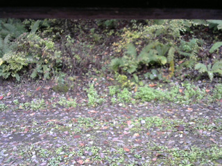 長野県菅平高原 ゆたか山荘 南側 2025/10/15 09:30