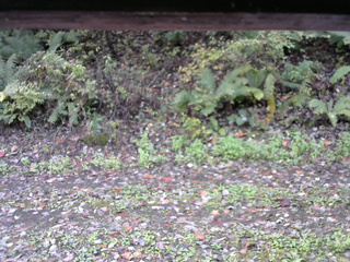 長野県菅平高原 ゆたか山荘 南側 2025/10/15 10:15