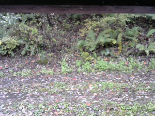 長野県菅平高原 ゆたか山荘 南側 2025/10/15 10:45