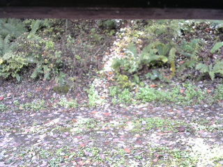 長野県菅平高原 ゆたか山荘 南側 2025/10/15 12:00