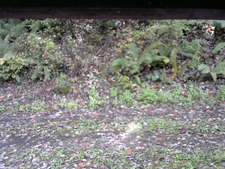 長野県菅平高原 ゆたか山荘 南側 2025/10/15 12:30