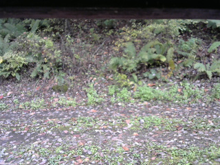 長野県菅平高原 ゆたか山荘 南側 2025/10/15 13:45