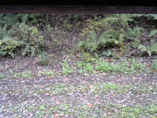 長野県菅平高原 ゆたか山荘 南側 2025/10/15 15:00