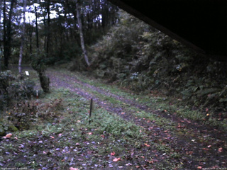 長野県菅平高原 ゆたか山荘 東側(坂下) 2025/10/15 05:45