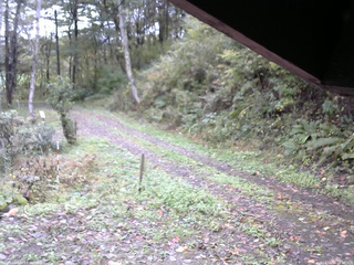 長野県菅平高原 ゆたか山荘 東側(坂下) 2025/10/15 08:30