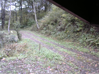 長野県菅平高原 ゆたか山荘 東側(坂下) 2025/10/15 09:00