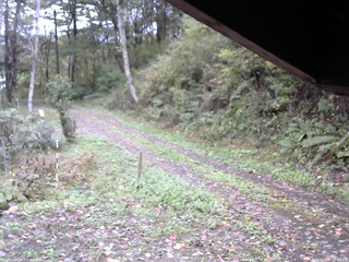長野県菅平高原 ゆたか山荘 東側(坂下) 2025/10/15 09:30