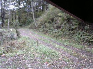 長野県菅平高原 ゆたか山荘 東側(坂下) 2025/10/15 09:45