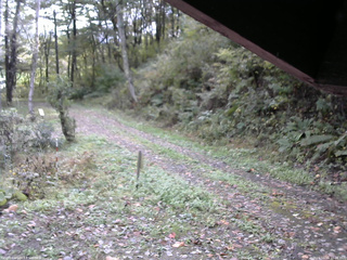 長野県菅平高原 ゆたか山荘 東側(坂下) 2025/10/15 10:00
