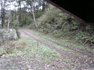 長野県菅平高原 ゆたか山荘 東側(坂下) 2025/10/15 10:30