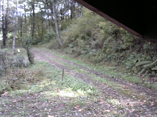 長野県菅平高原 ゆたか山荘 東側(坂下) 2025/10/15 12:00