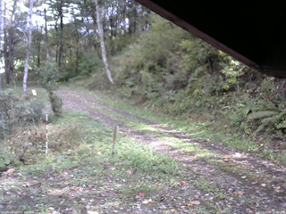長野県菅平高原 ゆたか山荘 東側(坂下) 2025/10/15 12:45