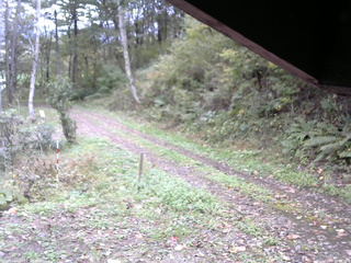 長野県菅平高原 ゆたか山荘 東側(坂下) 2025/10/15 15:00