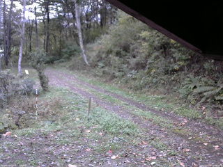長野県菅平高原 ゆたか山荘 東側(坂下) 2025/10/15 16:45