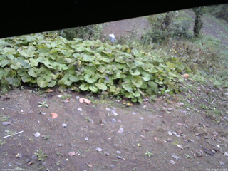 長野県菅平高原 ゆたか山荘 駐車場 2025/10/15 08:30