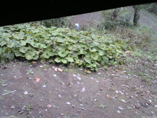 長野県菅平高原 ゆたか山荘 駐車場 2025/10/15 09:15