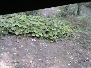 長野県菅平高原 ゆたか山荘 駐車場 2025/10/15 11:00