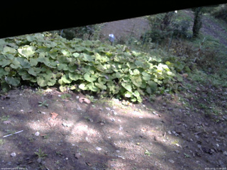 長野県菅平高原 ゆたか山荘 駐車場 2025/10/15 11:30