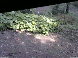 長野県菅平高原 ゆたか山荘 駐車場 2025/10/15 11:45