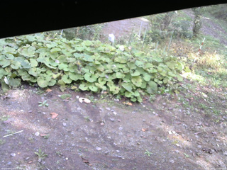 長野県菅平高原 ゆたか山荘 駐車場 2025/10/15 13:00
