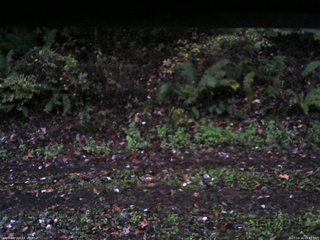 長野県菅平高原 ゆたか山荘 南側 2025/10/16 05:45