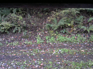 長野県菅平高原 ゆたか山荘 南側 2025/10/16 06:00