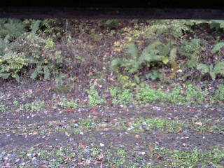 長野県菅平高原 ゆたか山荘 南側 2025/10/16 06:15