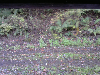 長野県菅平高原 ゆたか山荘 南側 2025/10/16 06:30