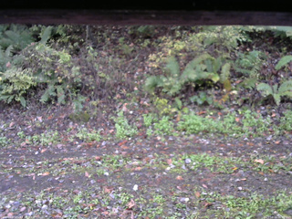 長野県菅平高原 ゆたか山荘 南側 2025/10/16 06:45