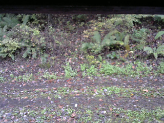 長野県菅平高原 ゆたか山荘 南側 2025/10/16 07:00