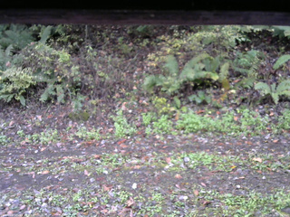 長野県菅平高原 ゆたか山荘 南側 2025/10/16 07:15