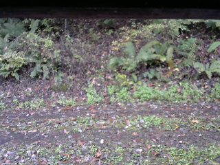 長野県菅平高原 ゆたか山荘 南側 2025/10/16 07:30