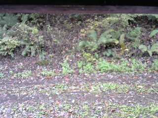 長野県菅平高原 ゆたか山荘 南側 2025/10/16 07:45