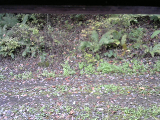 長野県菅平高原 ゆたか山荘 南側 2025/10/16 08:00