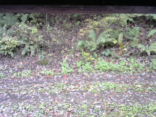 長野県菅平高原 ゆたか山荘 南側 2025/10/16 08:15