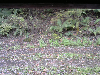 長野県菅平高原 ゆたか山荘 南側 2025/10/16 09:00