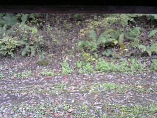 長野県菅平高原 ゆたか山荘 南側 2025/10/16 09:15