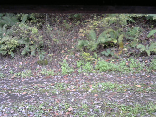 長野県菅平高原 ゆたか山荘 南側 2025/10/16 09:30