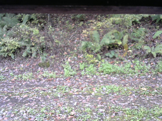 長野県菅平高原 ゆたか山荘 南側 2025/10/16 09:45