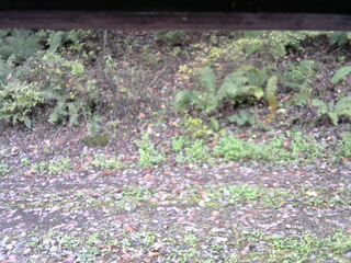 長野県菅平高原 ゆたか山荘 南側 2025/10/16 10:00