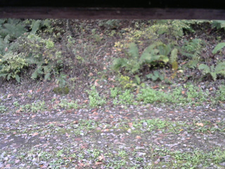 長野県菅平高原 ゆたか山荘 南側 2025/10/16 10:15